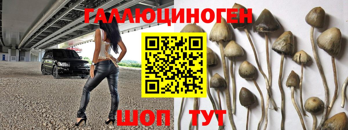 Галлюциногенные грибы прущие грибы Владимир